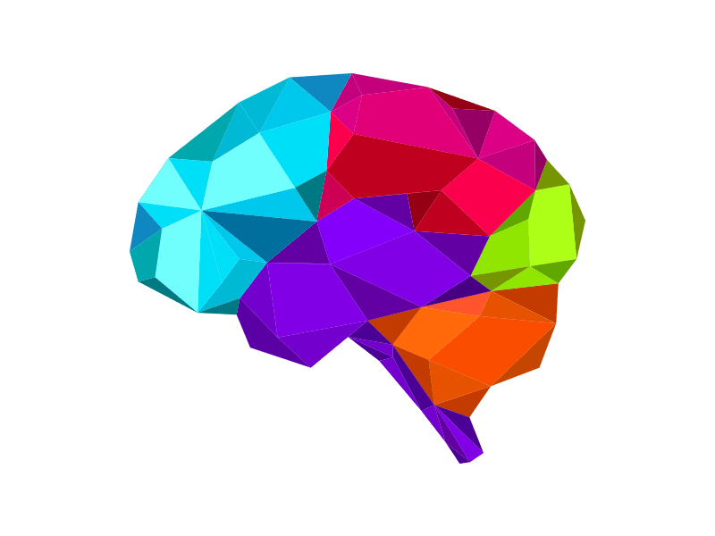 Multi-coloured brain